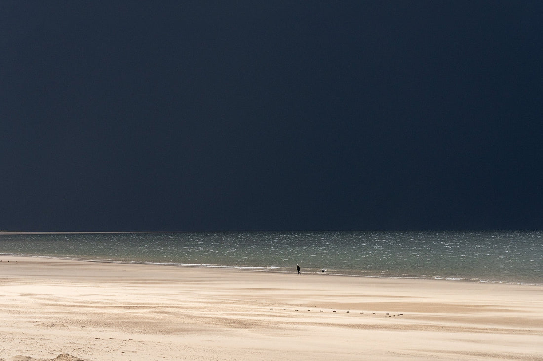 ON THE BEACH III, Studio News & Summer at BIG PICTURE GALLERY