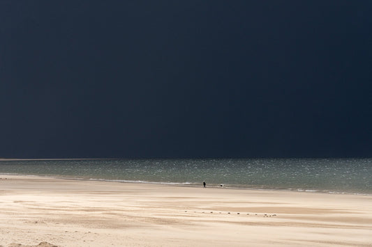ON THE BEACH III, Studio News & Summer at BIG PICTURE GALLERY