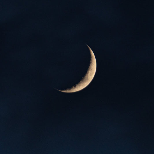 Spring 2026: New Moon Collection Releases, Fresh Art Fair Cheltenham & Gallery News