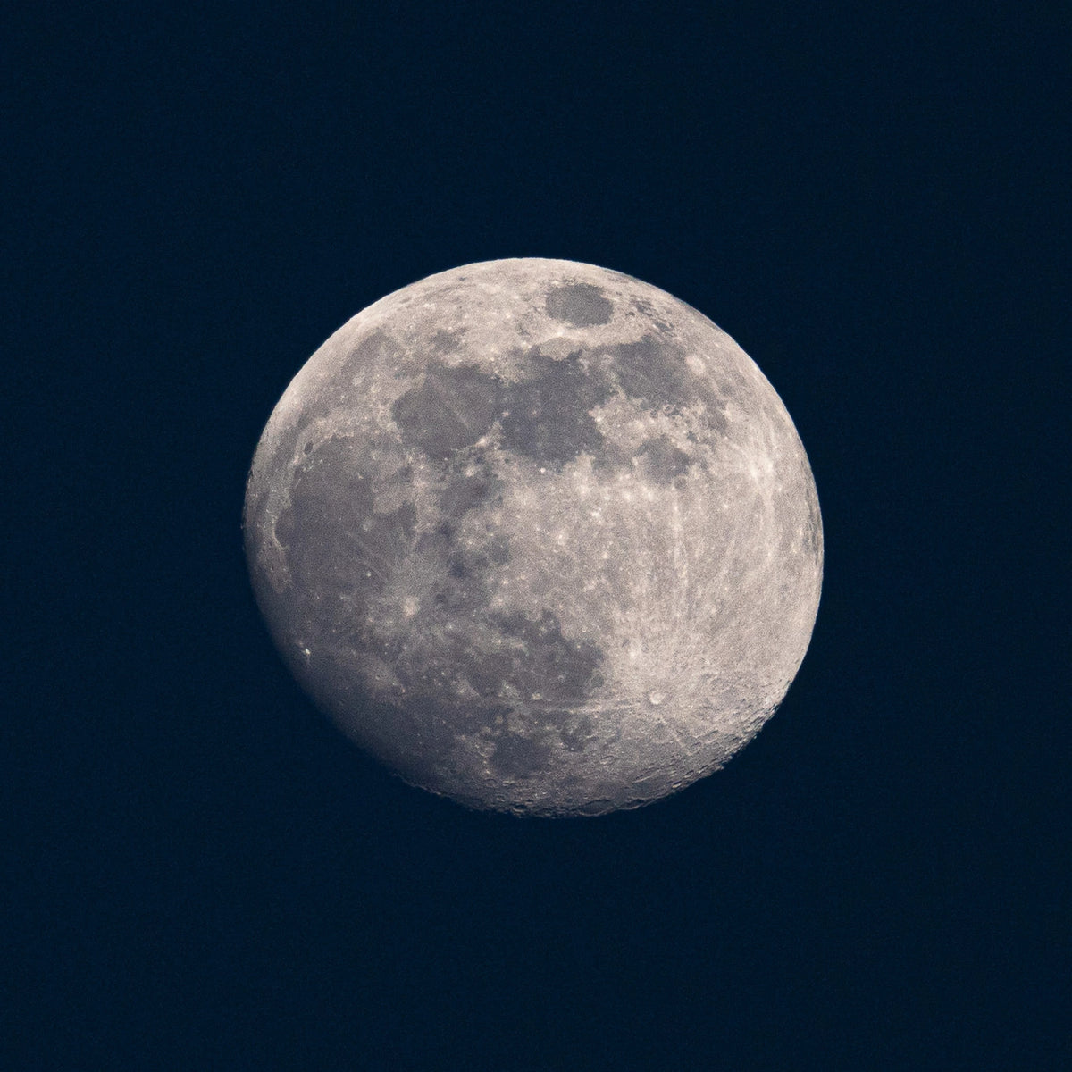 BLUE MOON