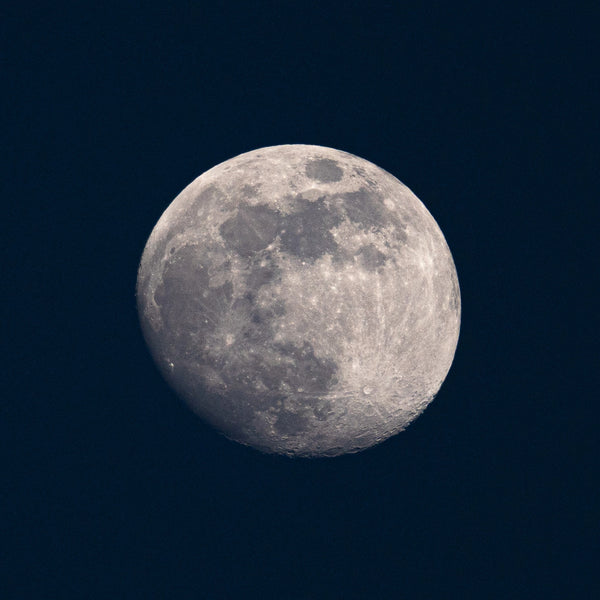 BLUE MOON
