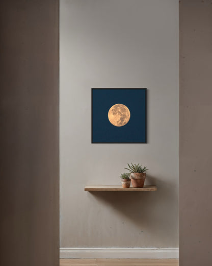 HARVEST MOON