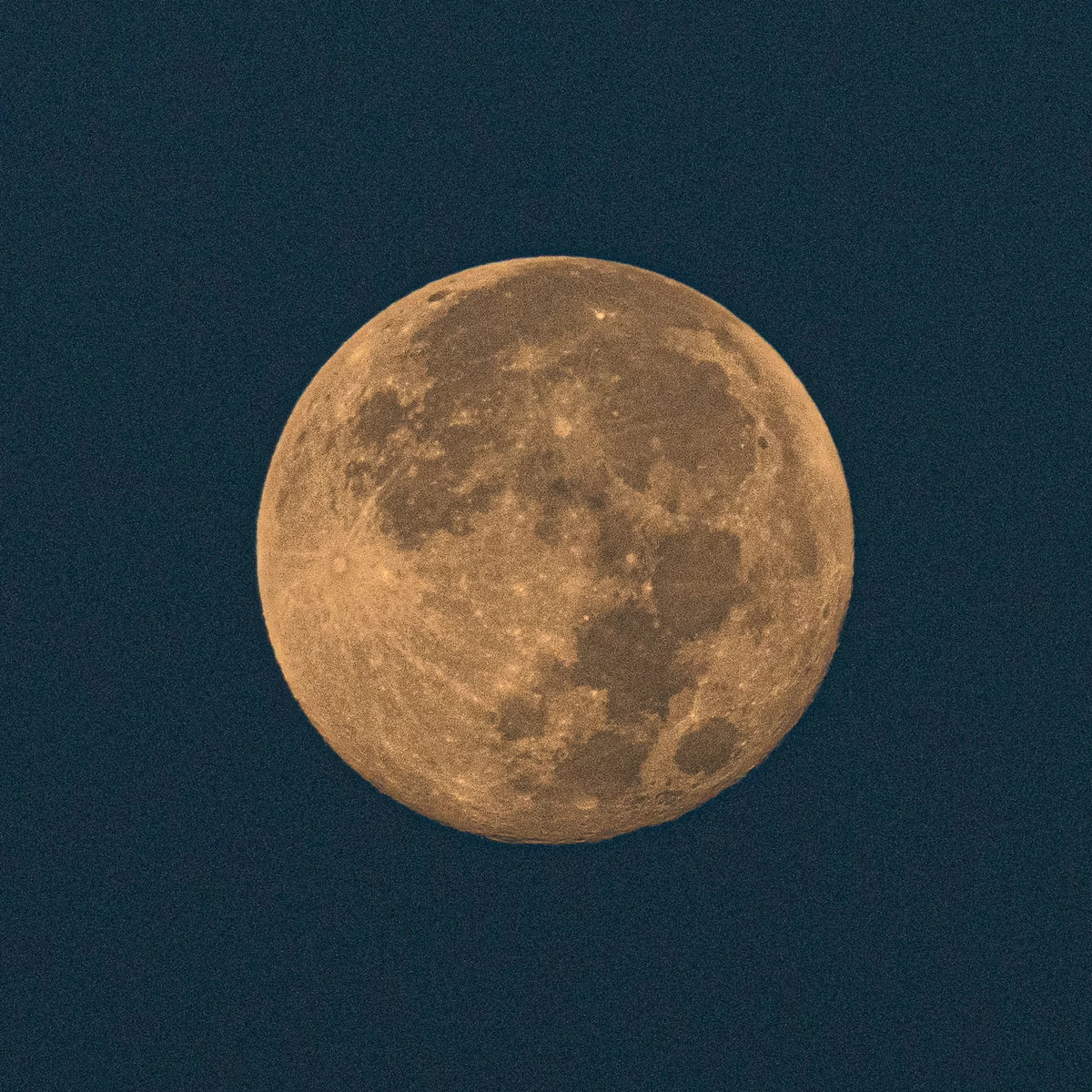 HARVEST MOON