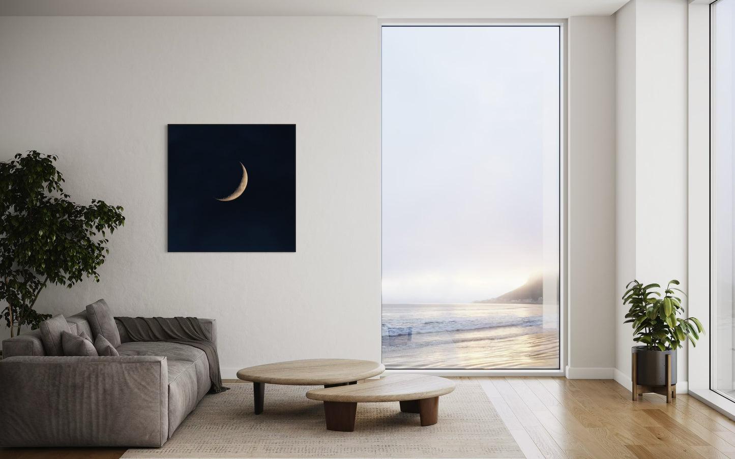 NEW MOON