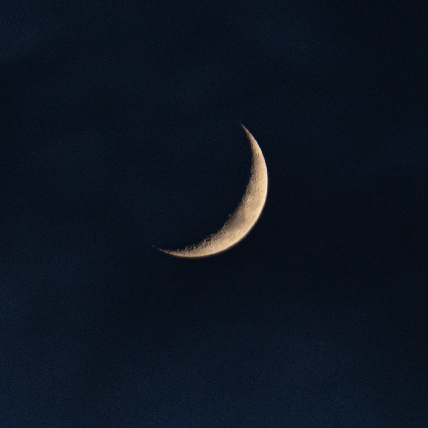 NEW MOON