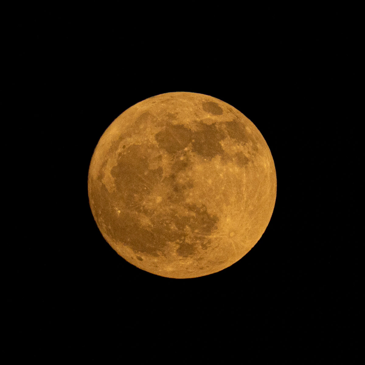 STRAWBERRY MOON | Open Editions