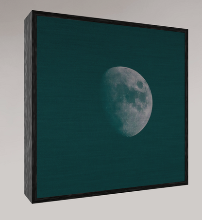 WINTER MOON