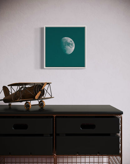 WINTER MOON
