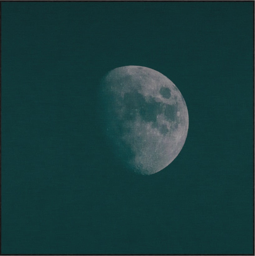 WINTER MOON