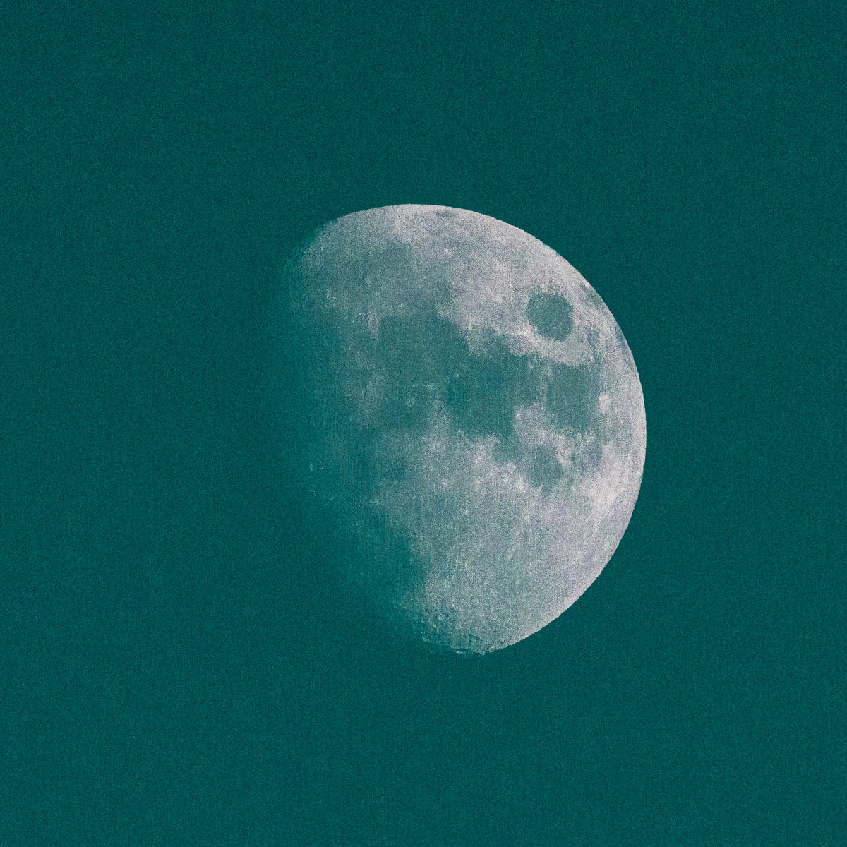 WINTER MOON