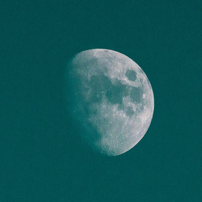 WINTER MOON