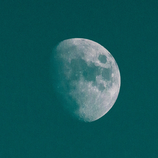 WINTER MOON